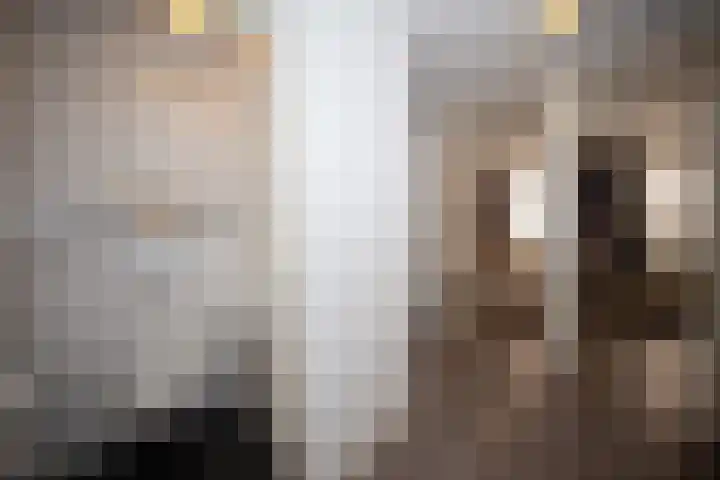 Dommelstraat 14 D Eindhoven thumbnail 15