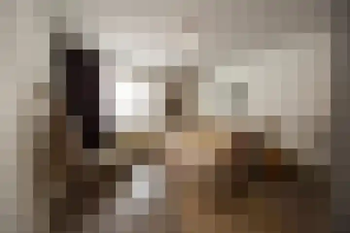 Dommelstraat 14 D Eindhoven thumbnail 16