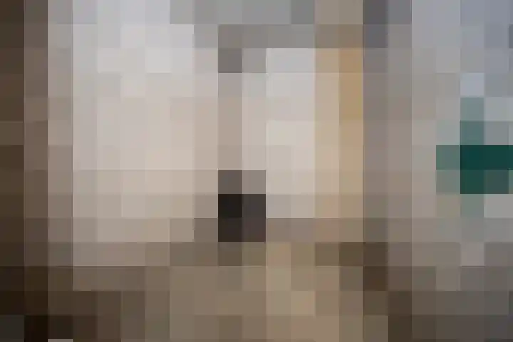 Dommelstraat 14 D Eindhoven thumbnail 25
