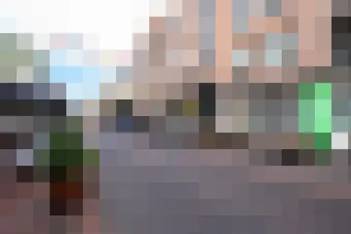 Dommelstraat 14 D Eindhoven thumbnail 31
