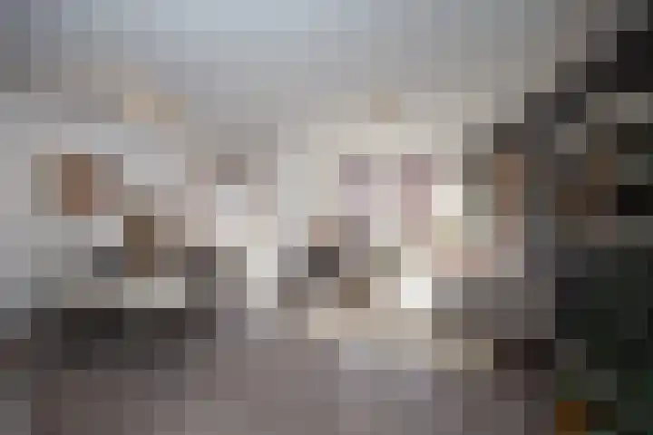 Dommelstraat 14 D Eindhoven thumbnail 6