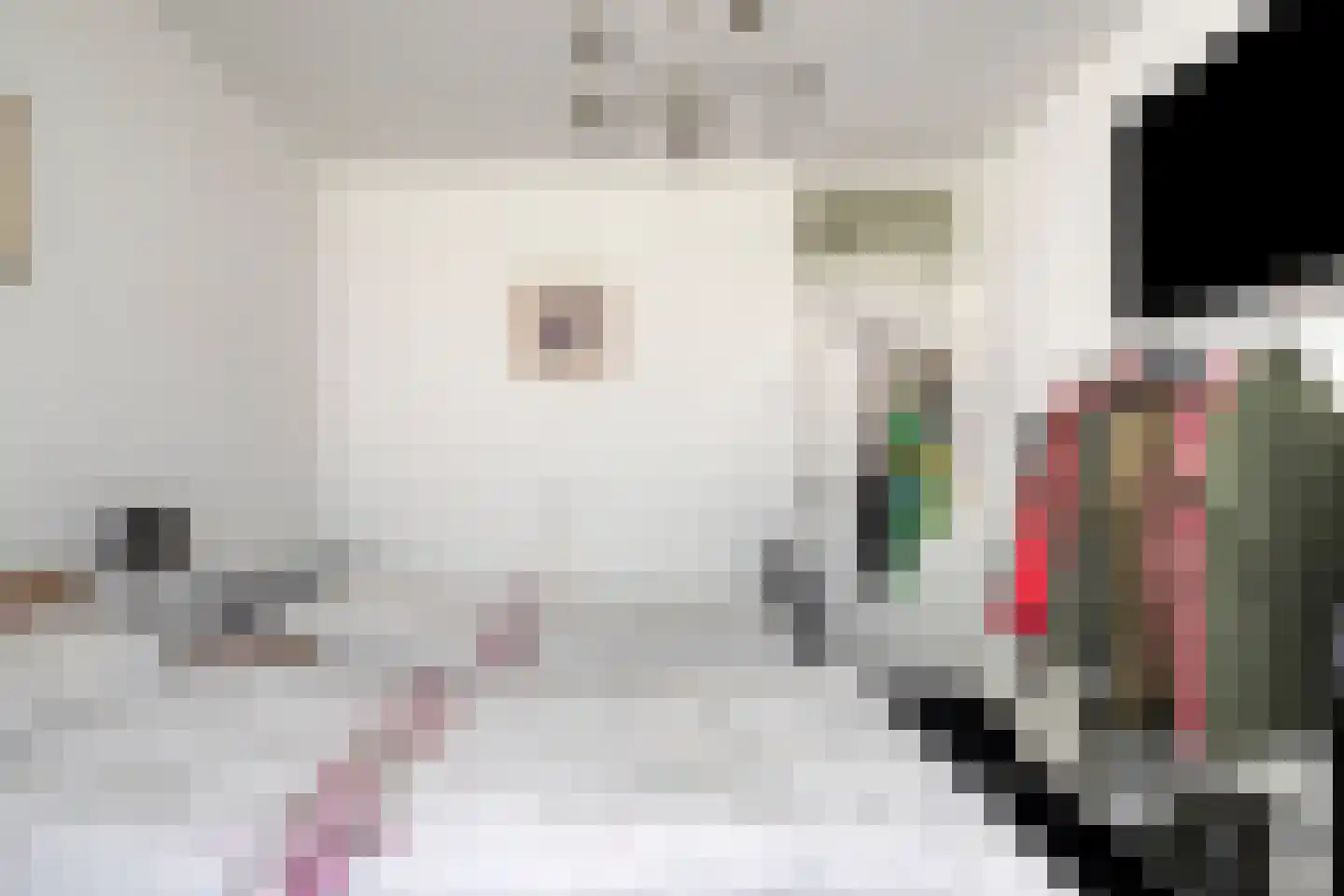 Dommelstraat 15 's-Hertogenbosch thumbnail 27