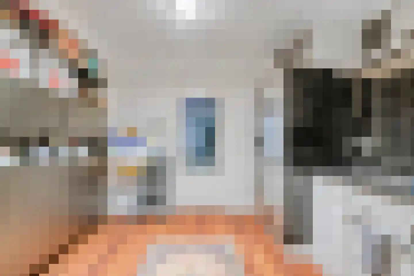 Dommelstraat 15 's-Hertogenbosch thumbnail 31