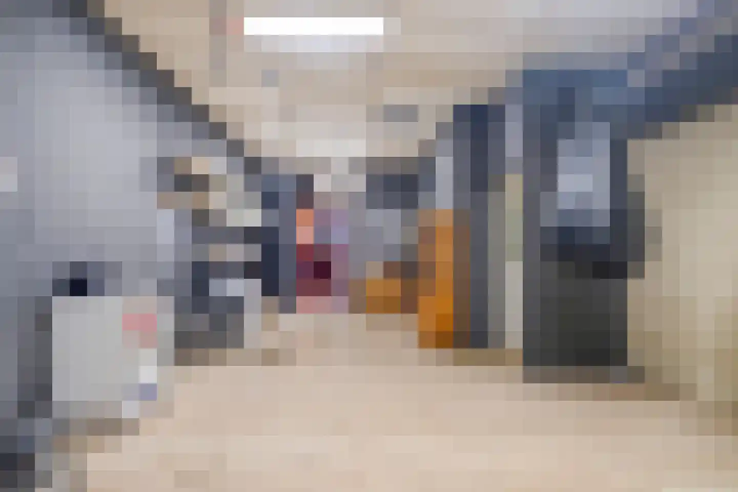 Dommelstraat 15 's-Hertogenbosch thumbnail 32