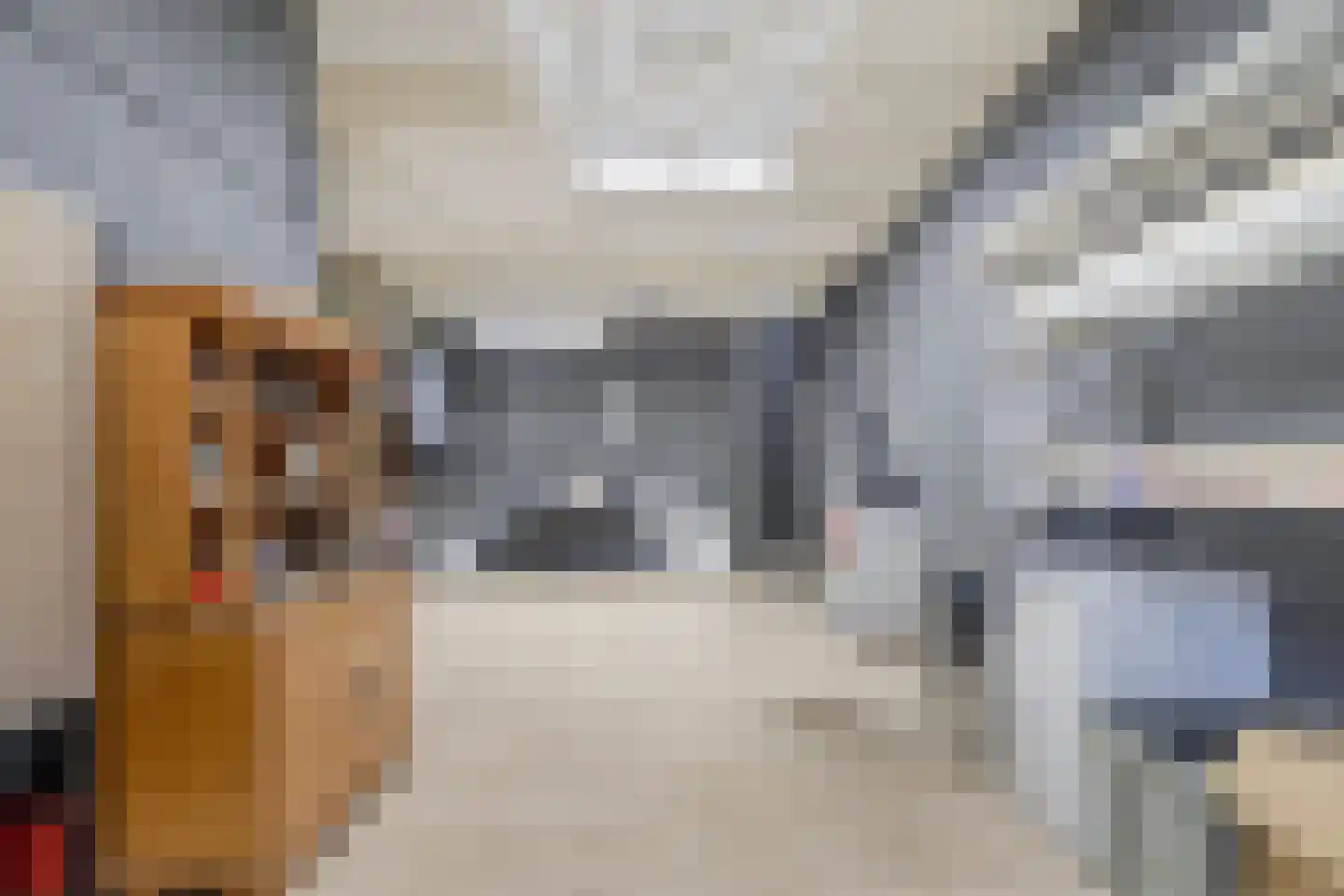 Dommelstraat 15 's-Hertogenbosch thumbnail 33