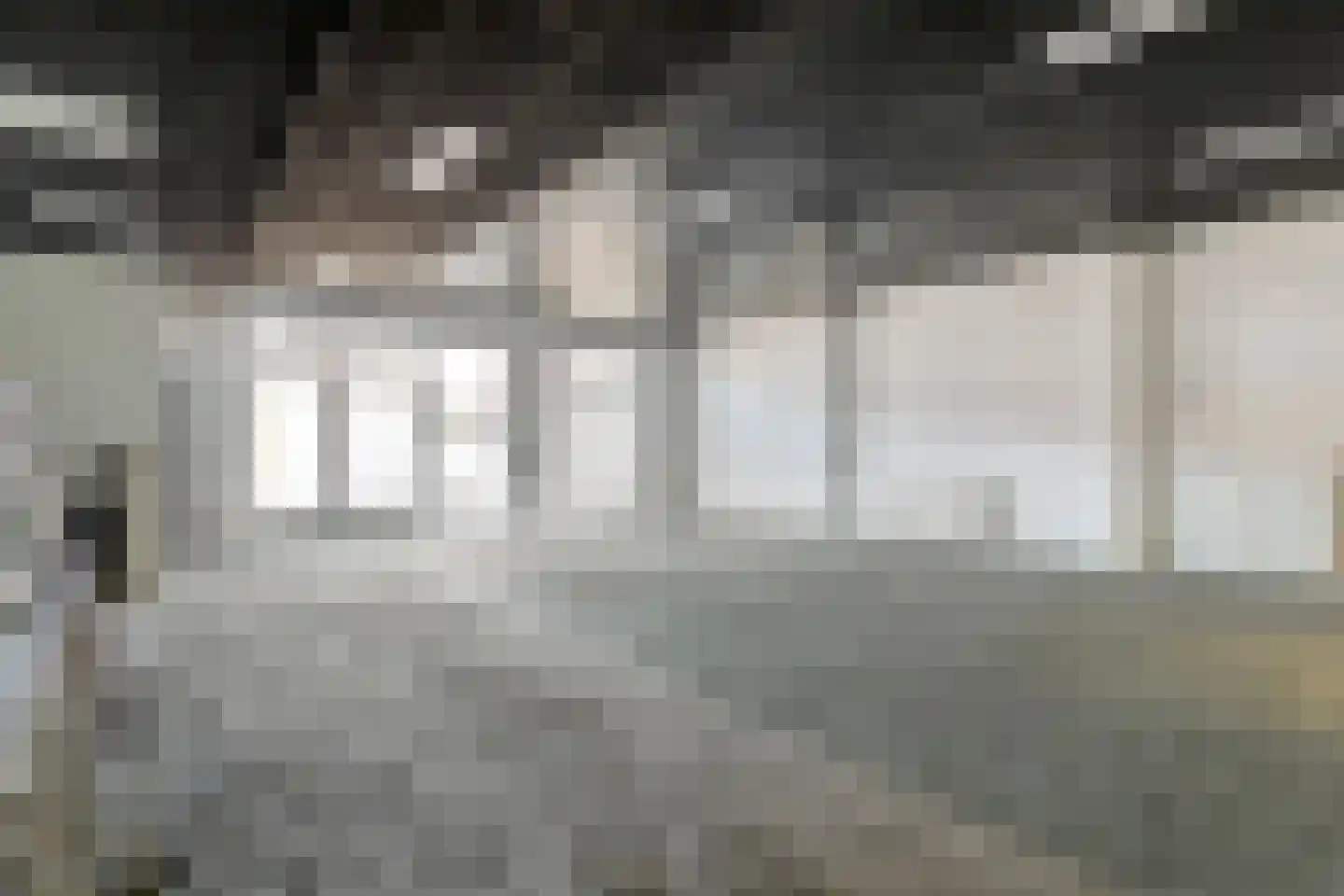 Dommelstraat 15 's-Hertogenbosch thumbnail 36