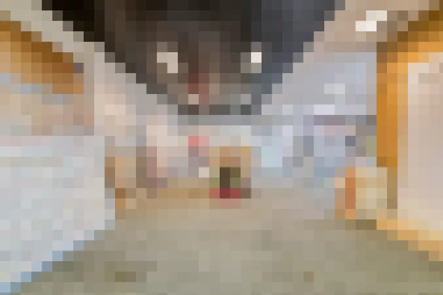 Dommelstraat 15 's-Hertogenbosch thumbnail 39