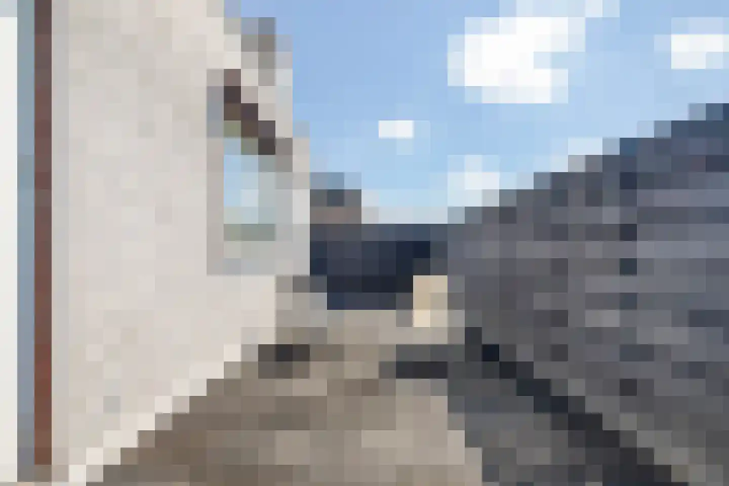 Dommelstraat 15 's-Hertogenbosch thumbnail 42