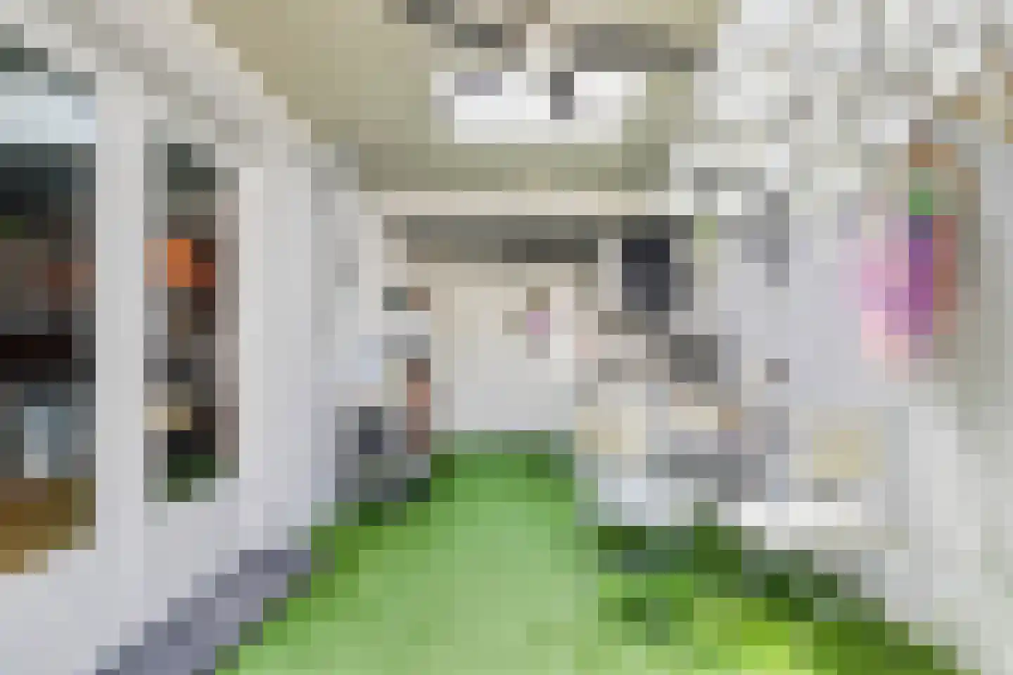 Dommelstraat 15 's-Hertogenbosch thumbnail 45