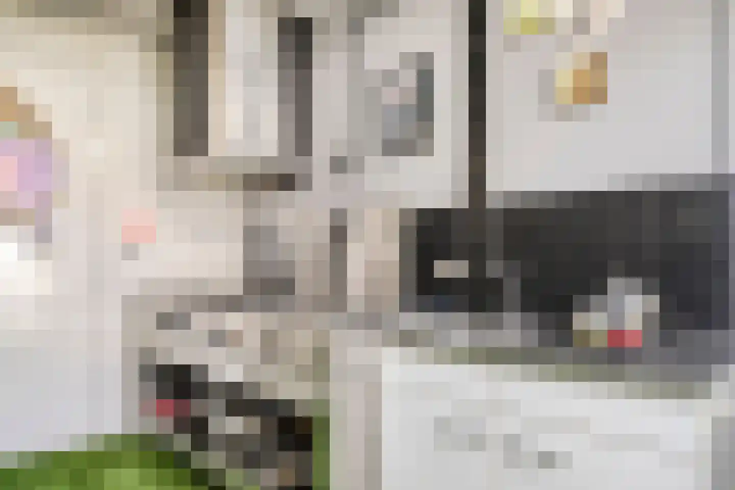 Dommelstraat 15 's-Hertogenbosch thumbnail 46