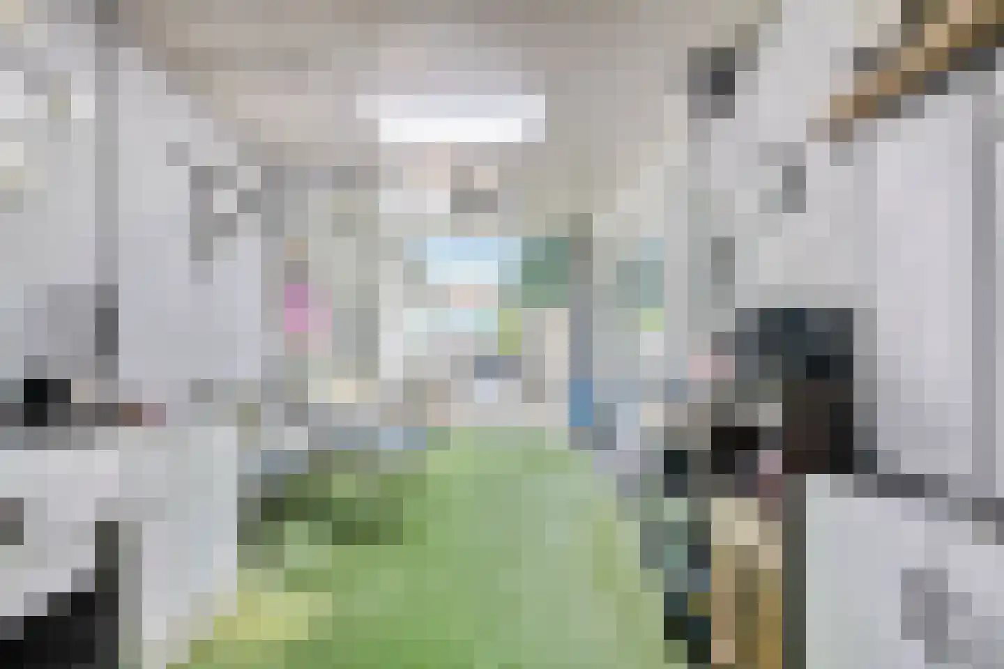 Dommelstraat 15 's-Hertogenbosch thumbnail 47