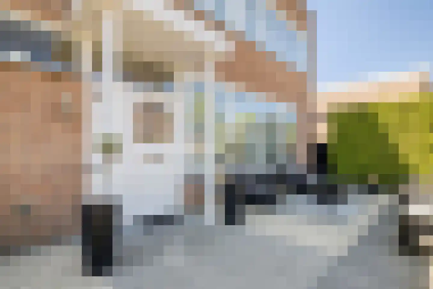 Dommelstraat 15 's-Hertogenbosch thumbnail 5