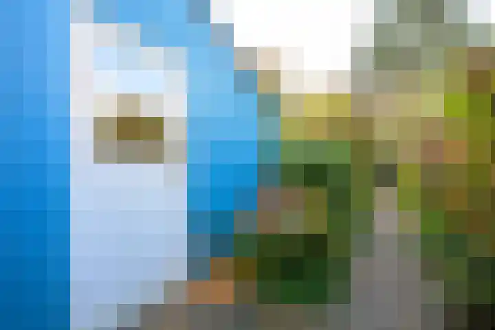 Dommelstraat 16 Alkmaar thumbnail 12