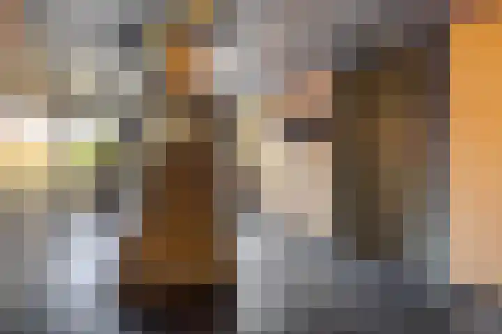 Dommelstraat 165 's-Hertogenbosch thumbnail 15
