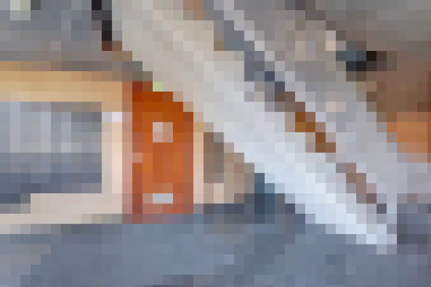Dommelstraat 189 's-Hertogenbosch thumbnail 29