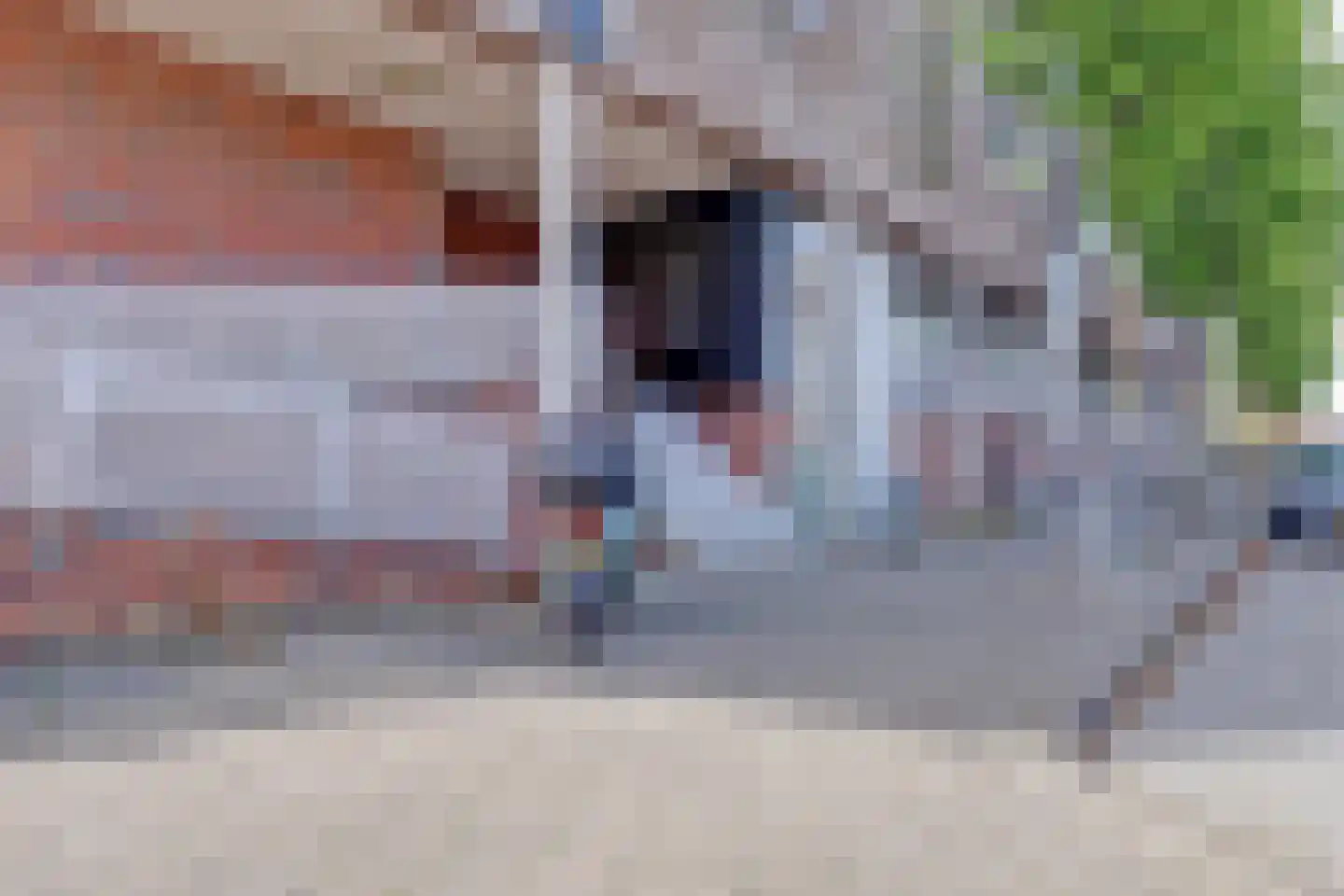 Dommelstraat 189 's-Hertogenbosch thumbnail 31