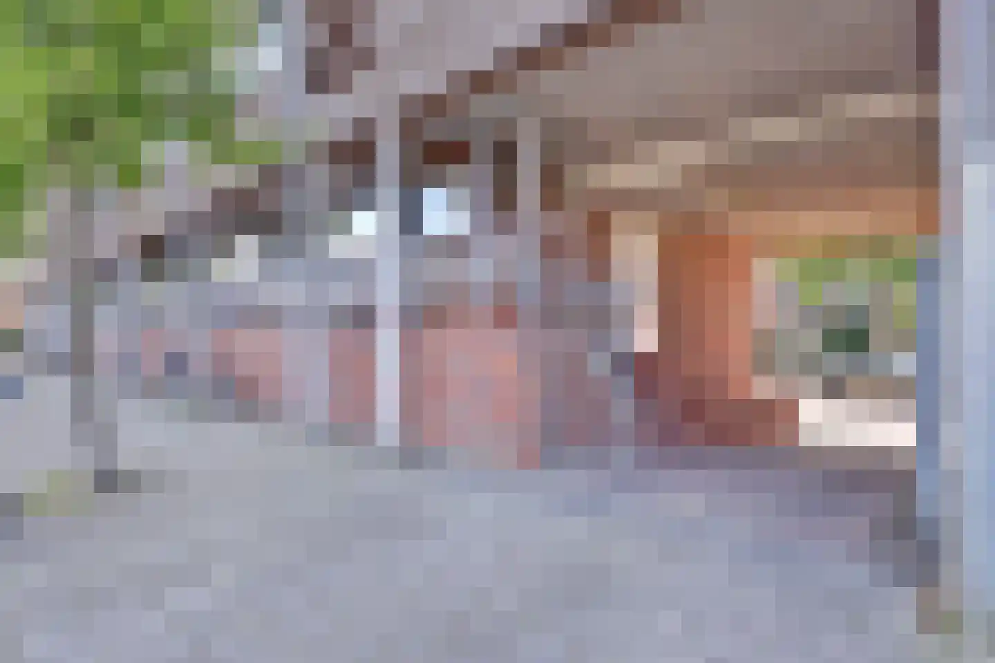 Dommelstraat 189 's-Hertogenbosch thumbnail 32