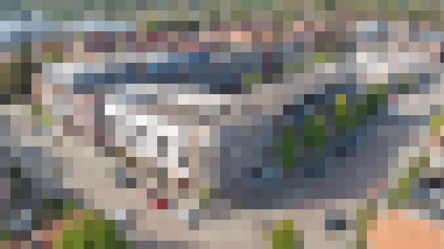Dommelstraat 189 's-Hertogenbosch thumbnail 38