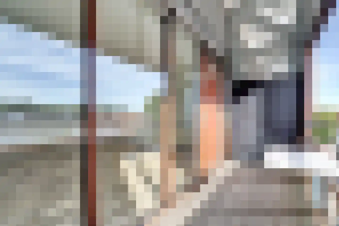 Dommelstraat 189 's-Hertogenbosch thumbnail 9