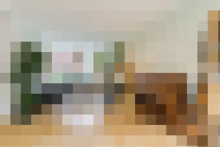 Dommelstraat 19 Geldrop thumbnail 10