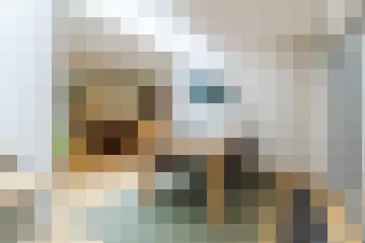 Dommelstraat 19 Geldrop thumbnail 12