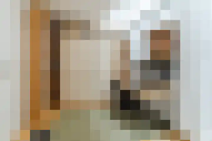 Dommelstraat 19 Geldrop thumbnail 13