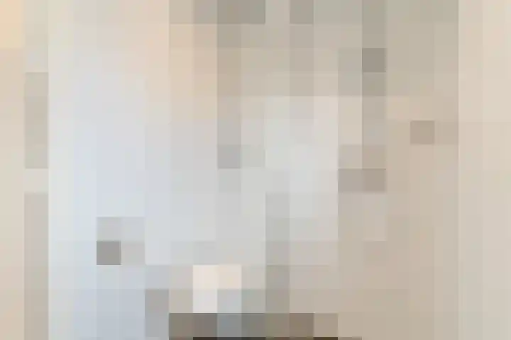 Dommelstraat 19 Geldrop thumbnail 22