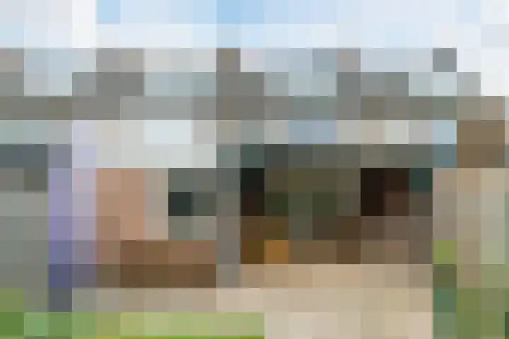 Dommelstraat 19 Geldrop thumbnail 28