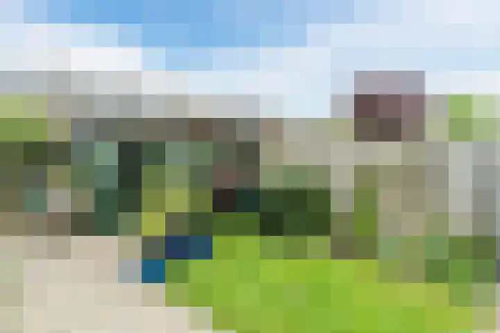 Dommelstraat 19 Geldrop thumbnail 30