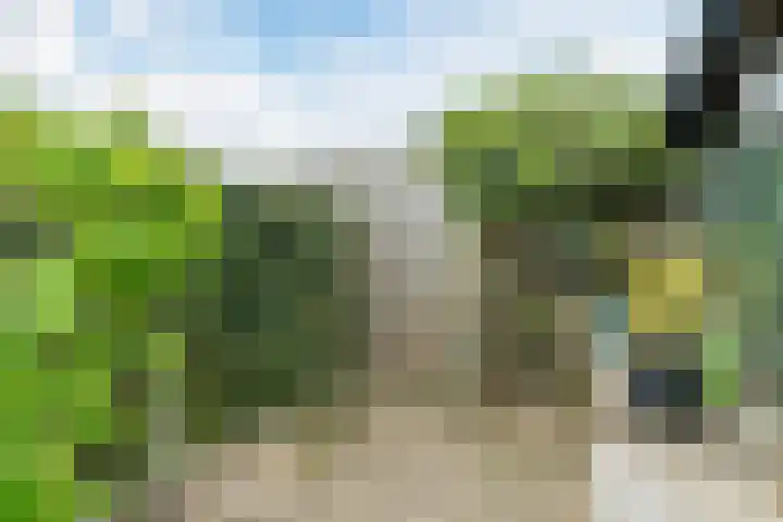 Dommelstraat 19 Geldrop thumbnail 31
