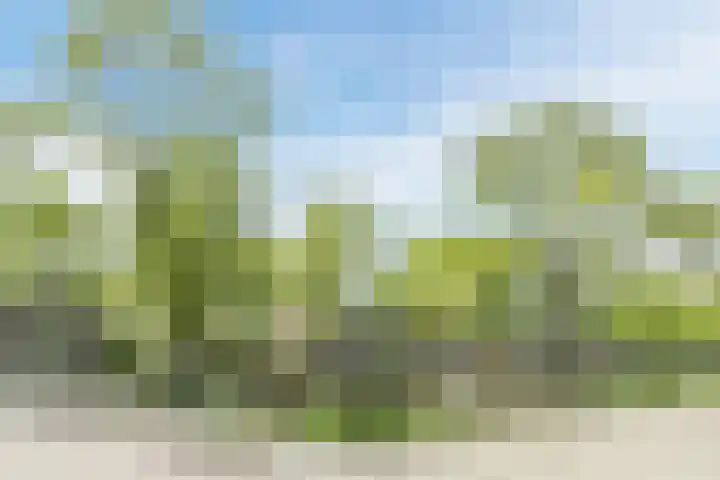 Dommelstraat 19 Geldrop thumbnail 33