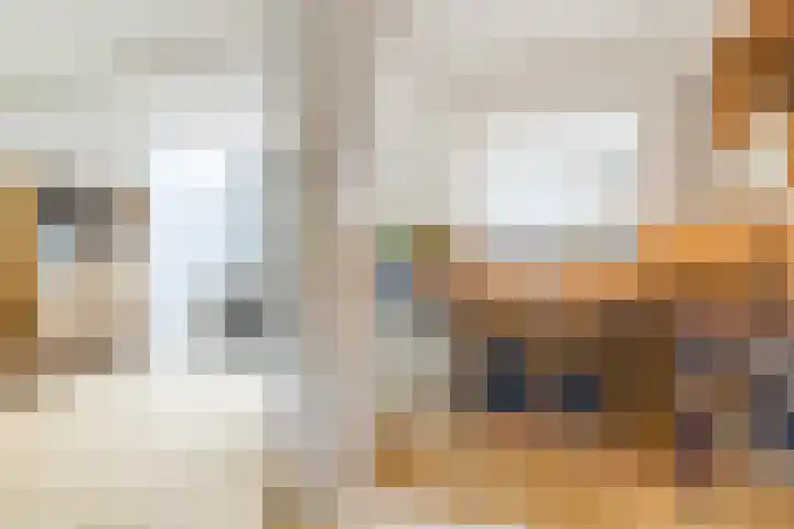 Dommelstraat 19 Geldrop thumbnail 6