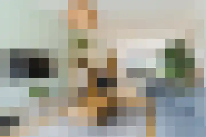 Dommelstraat 19 Geldrop thumbnail 9