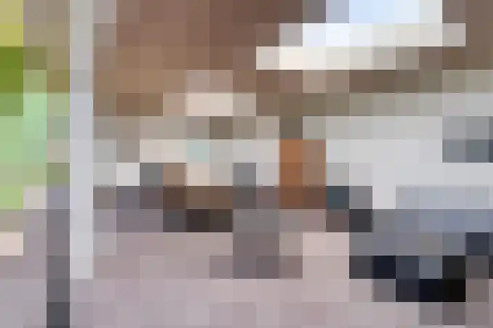 Dommelstraat 19 Valkenswaard thumbnail 33