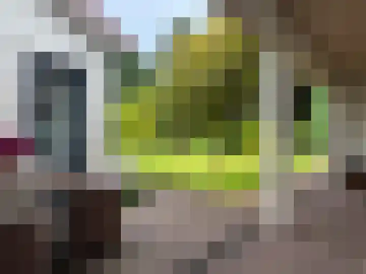 Dommelstraat 19 Valkenswaard thumbnail 35