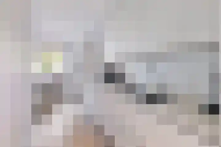 Dommelstraat 19 Valkenswaard thumbnail 9