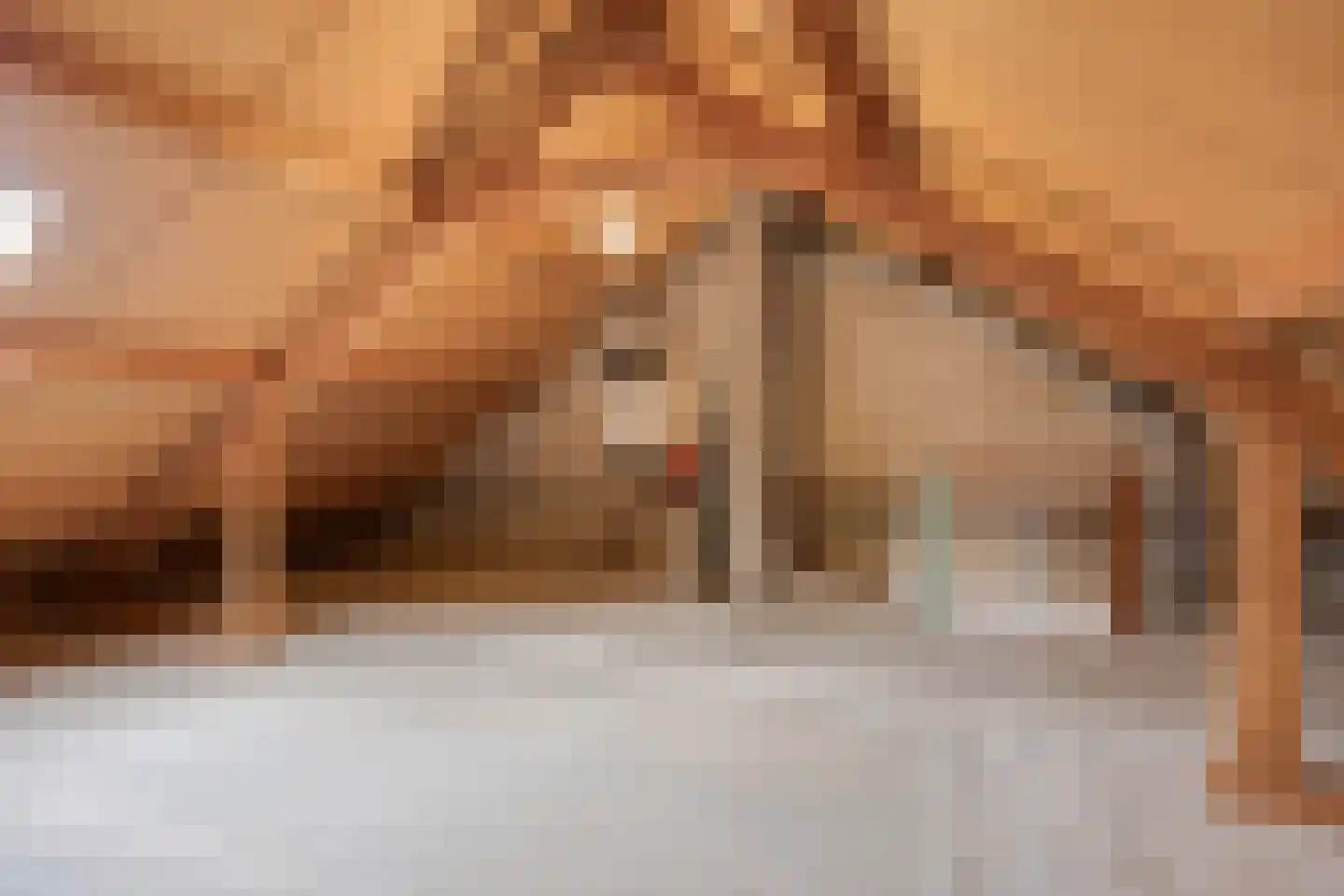 Dommelstraat 20 Emmeloord thumbnail 28
