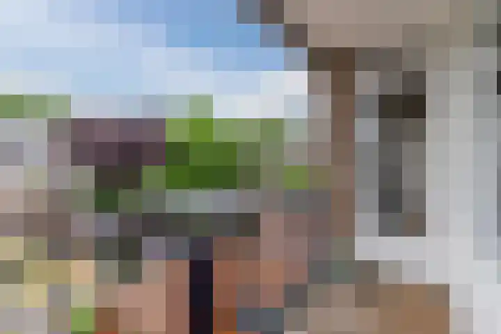 Dommelstraat 23 Geldrop thumbnail 31