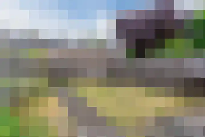 Dommelstraat 23 Geldrop thumbnail 36