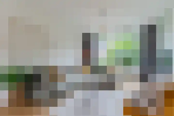 Dommelstraat 23 Geldrop thumbnail 5