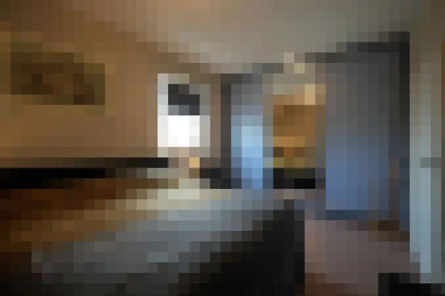 Dommelstraat 30 Oss thumbnail 27