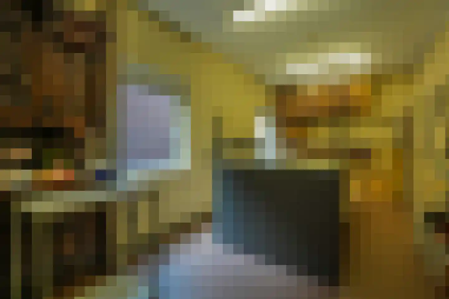 Dommelstraat 30 Oss thumbnail 37