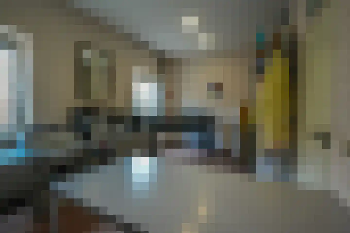 Dommelstraat 30 Oss thumbnail 40