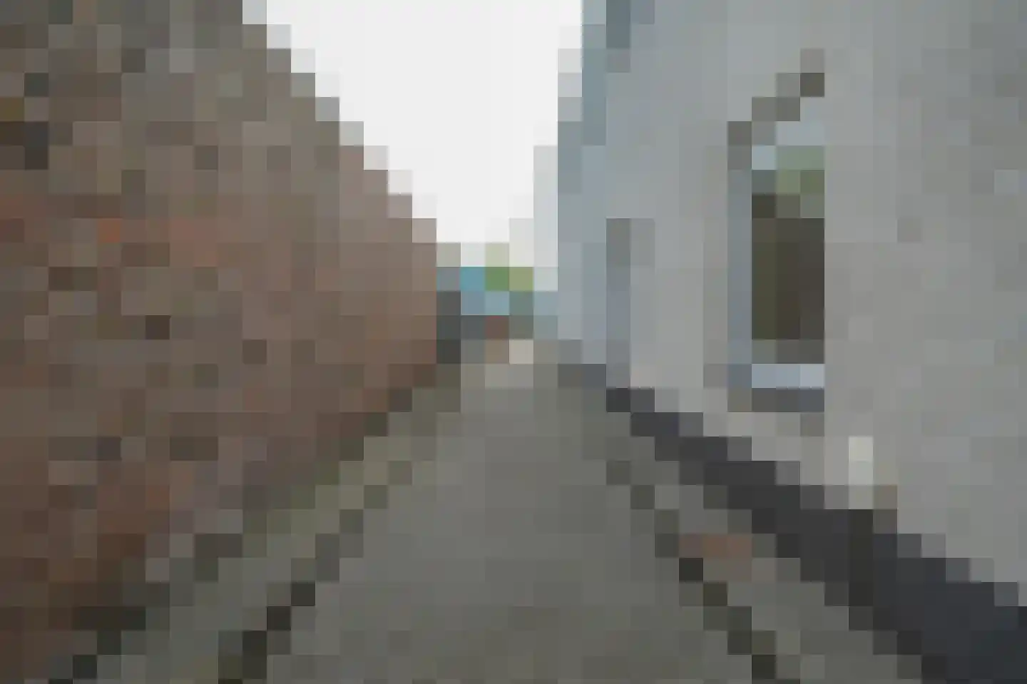 Dommelstraat 30 Oss thumbnail 44