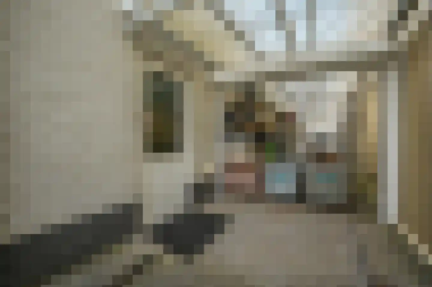 Dommelstraat 30 Oss thumbnail 48