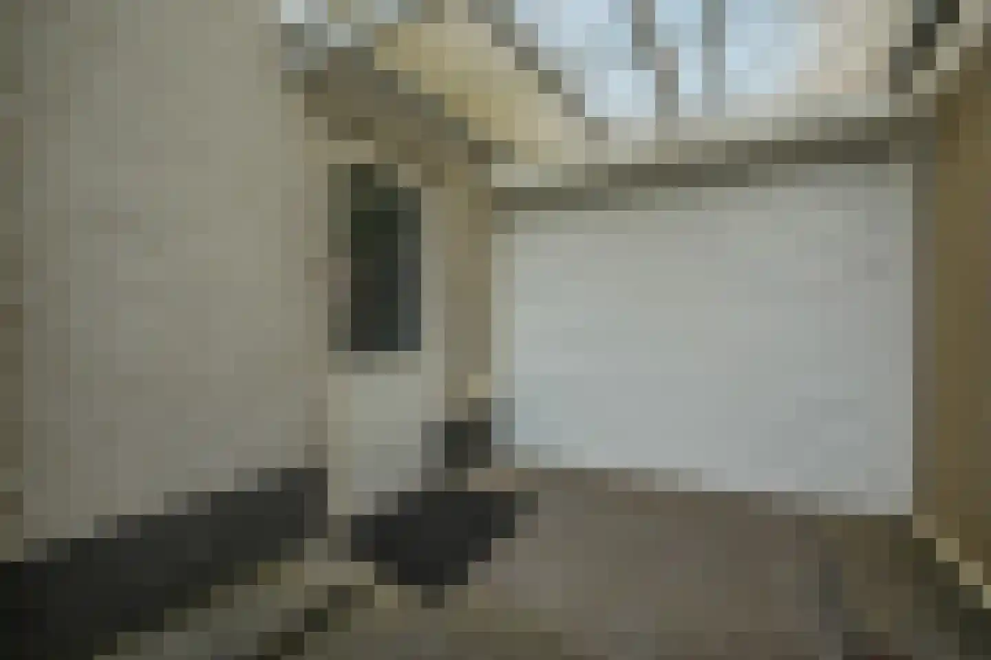 Dommelstraat 30 Oss thumbnail 49