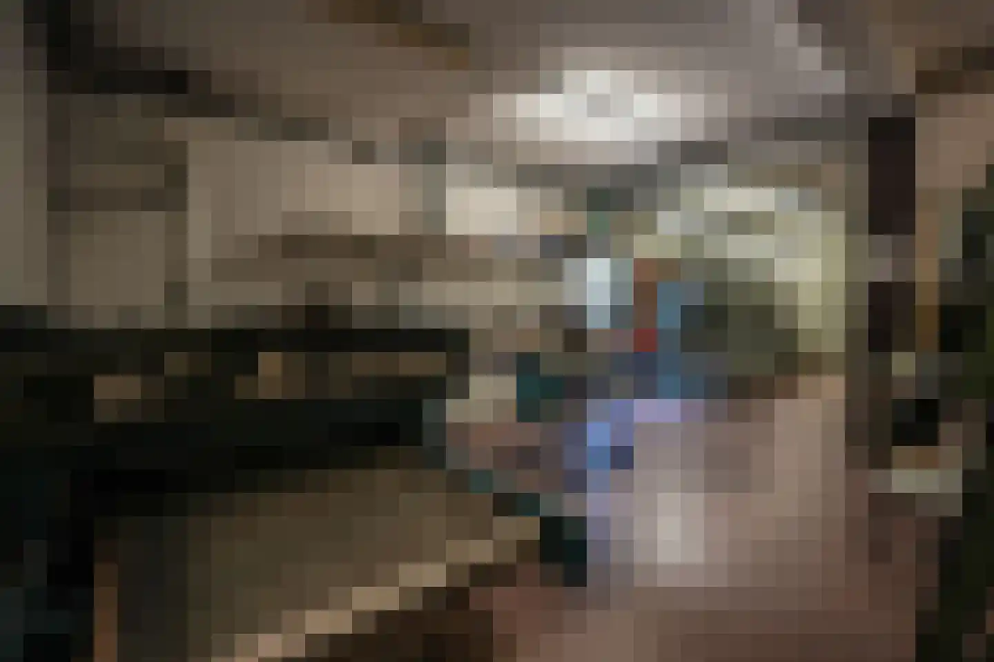 Dommelstraat 30 Oss thumbnail 5