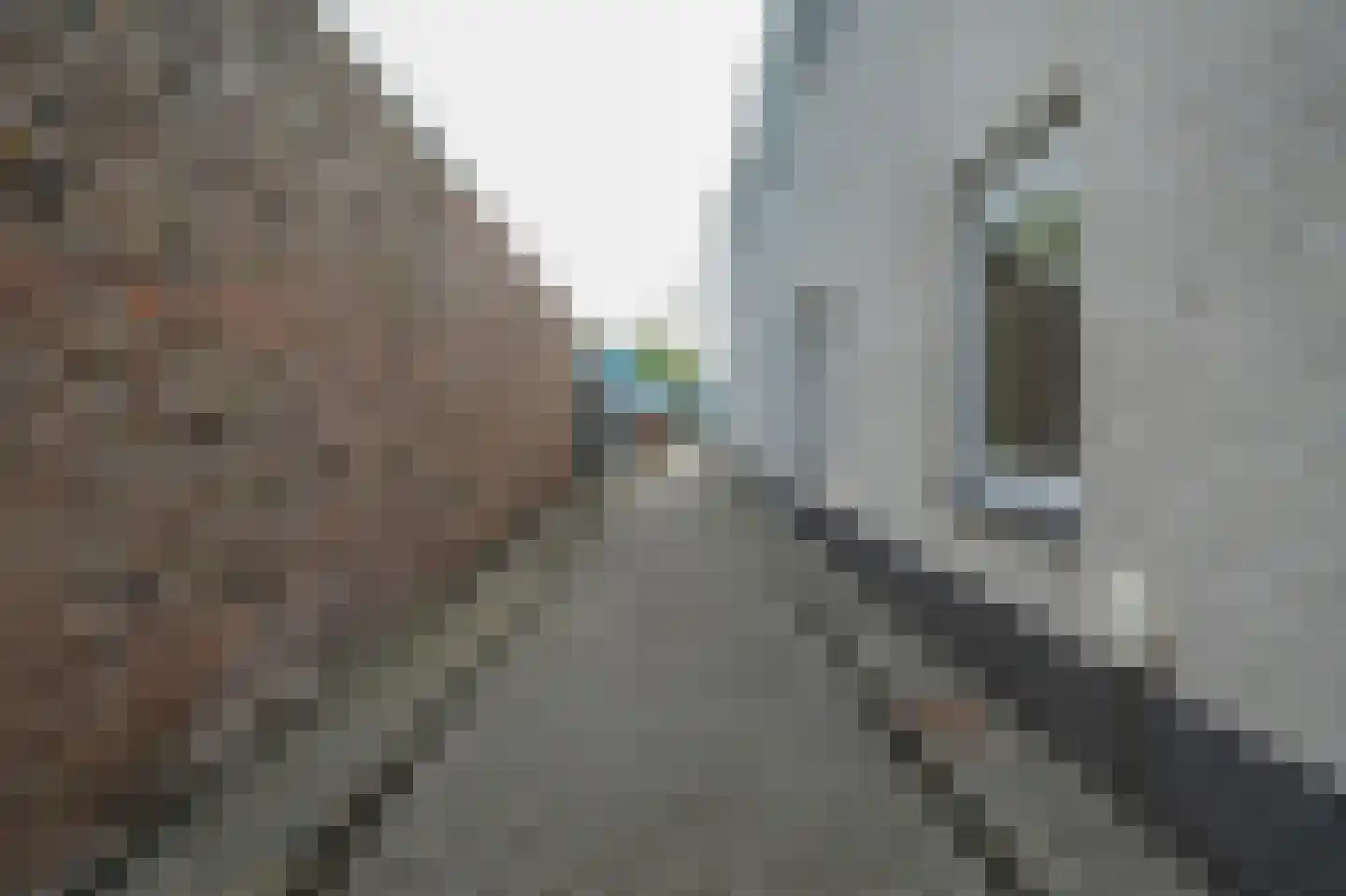 Dommelstraat 30 Oss thumbnail 50