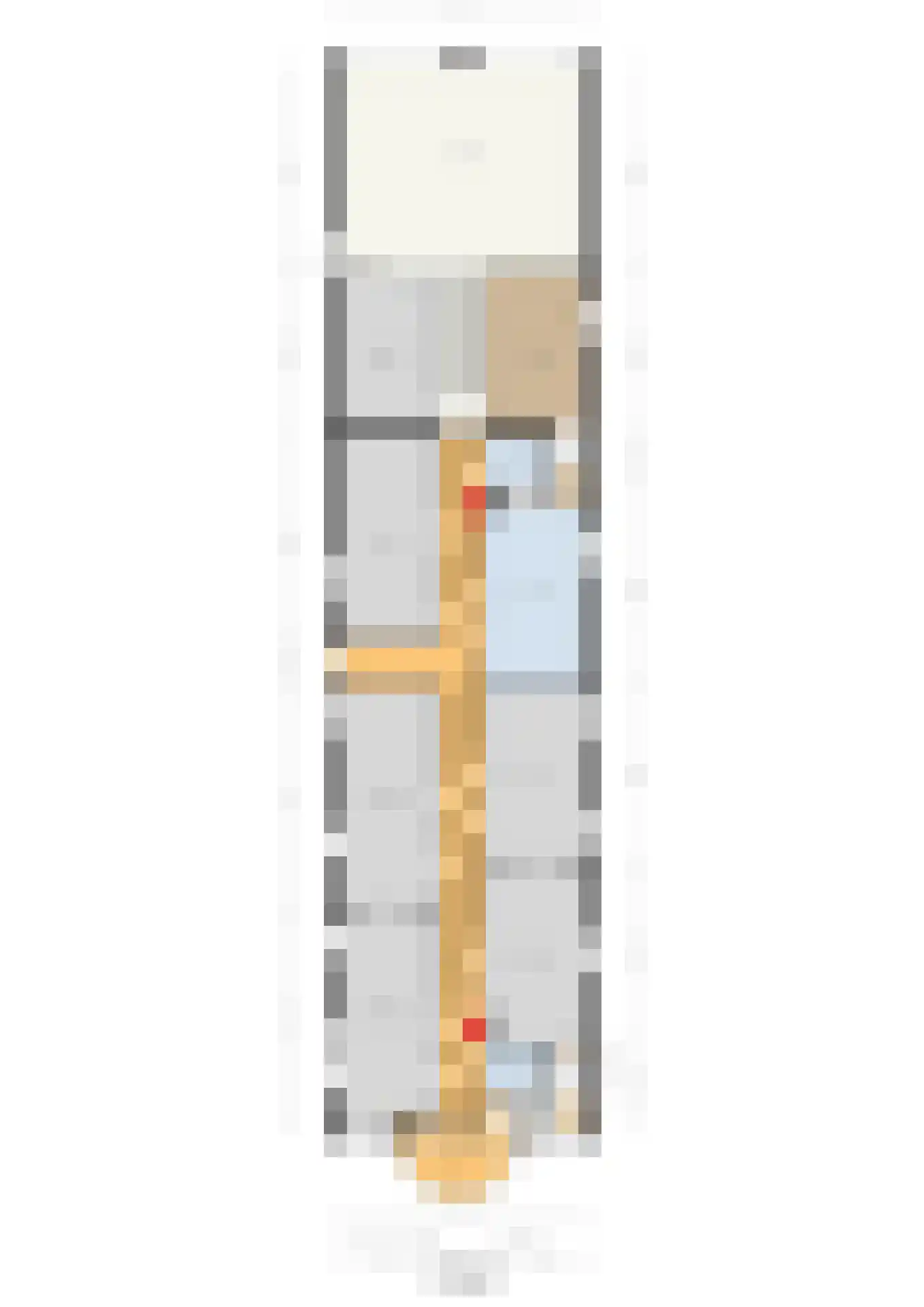 Dommelstraat 30 Oss thumbnail 56