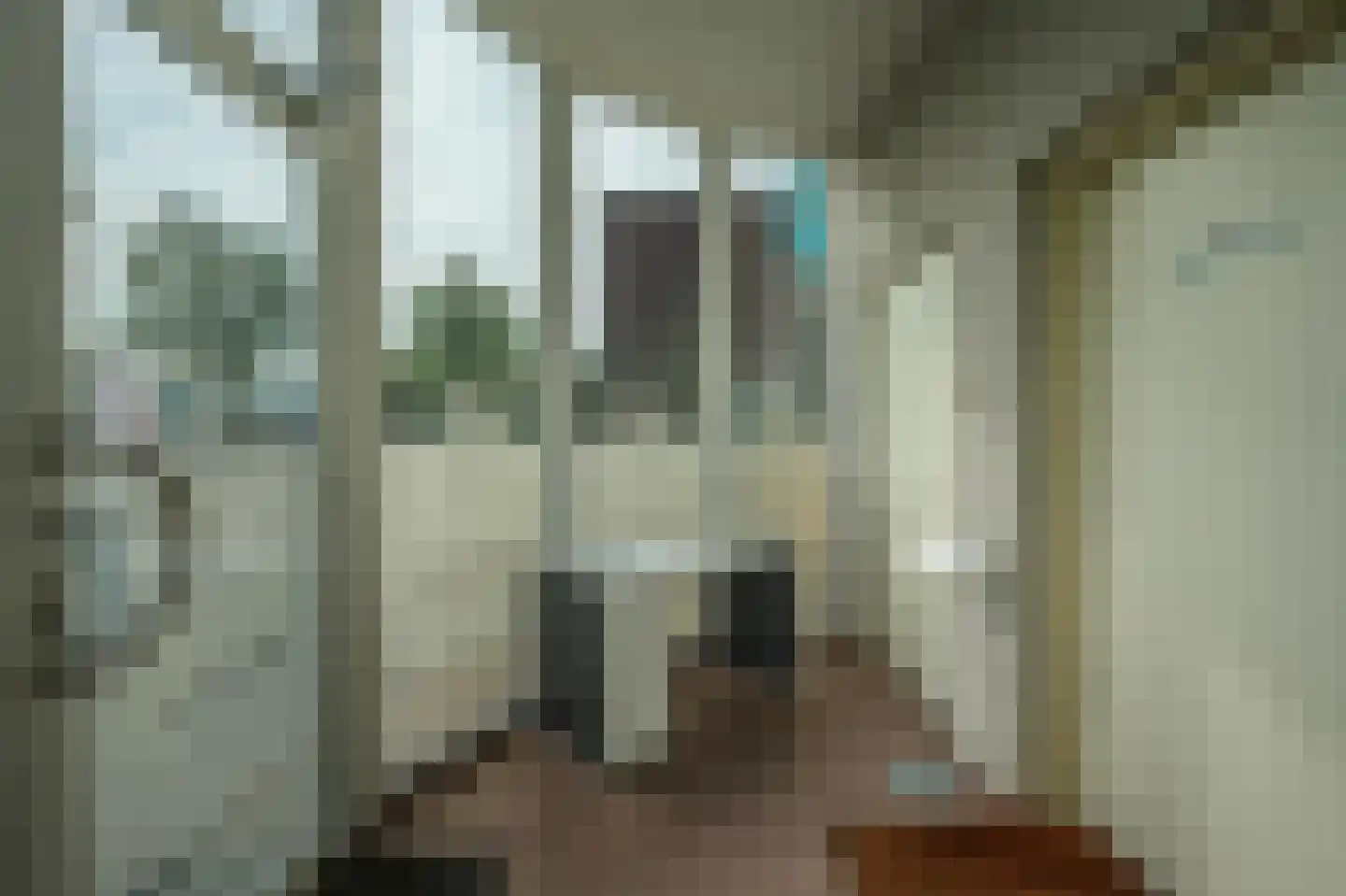 Dommelstraat 30 Oss thumbnail 8